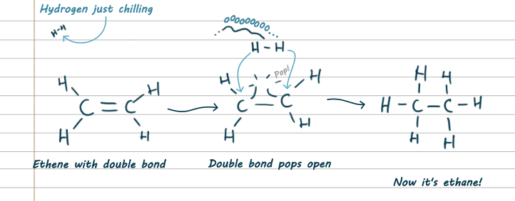 A diagram of hydrogenation. On the left is an ethene molecule with a double bond between the Carbons. There is also an H-H labelled 'hydrogen just chilling'. In the second picture, half of the double bond pops open. The hydrogen floats over going ooooooo... In the third picture, they're all combined and it's an ethane molecule with a single bond between carbons.